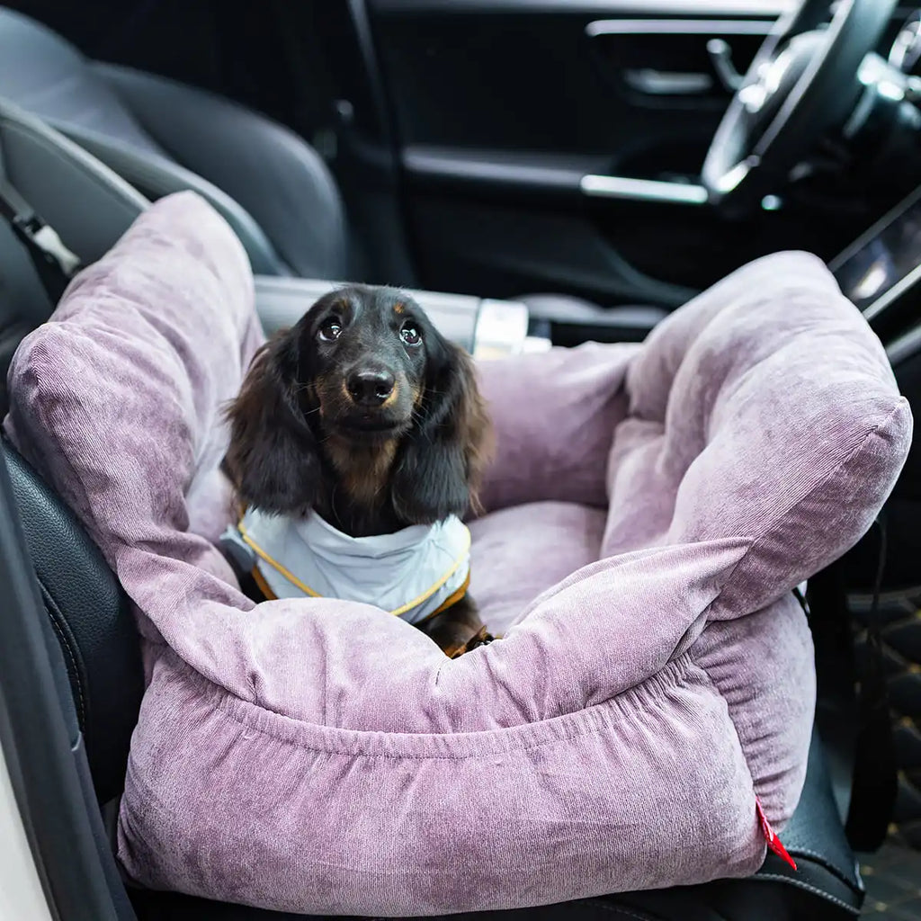 2-in-1 Dog Car Seat Carrier Bag