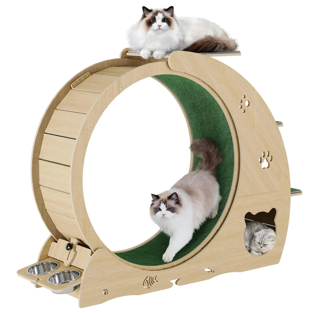 6-in-1 Multifunctional Cat Exercise Wheel