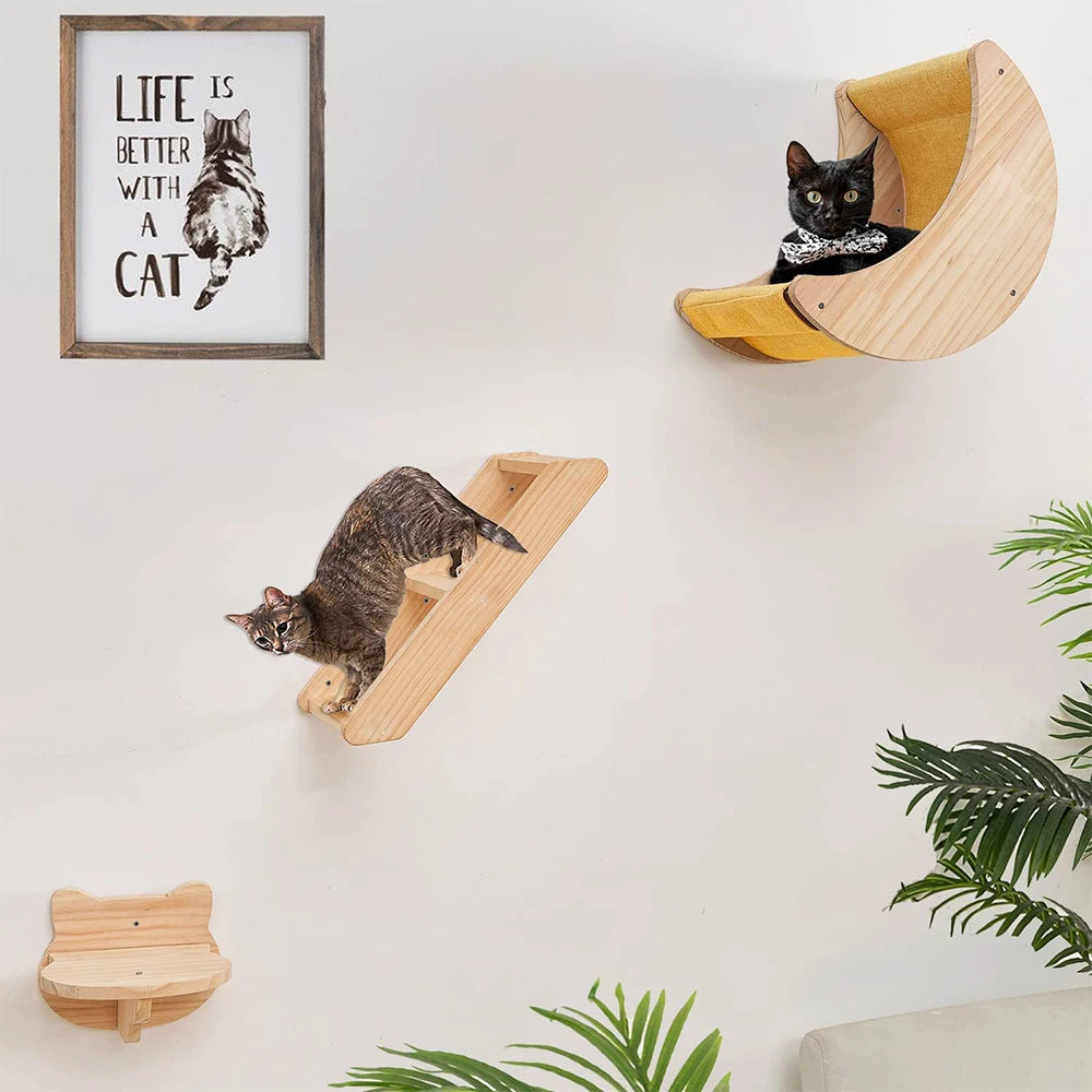 Cat Wall Climbing Shelves Moon Shelf