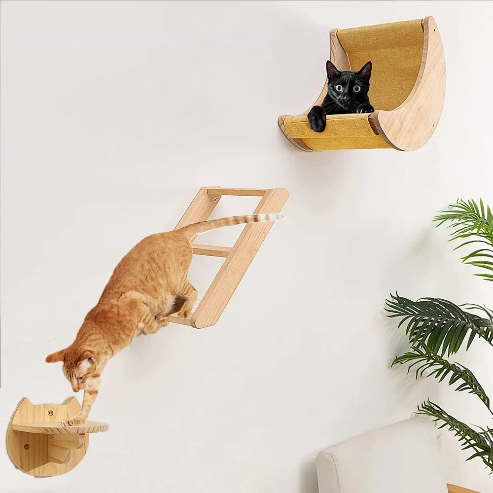 Cat Wall Climbing Shelves Moon Shelf