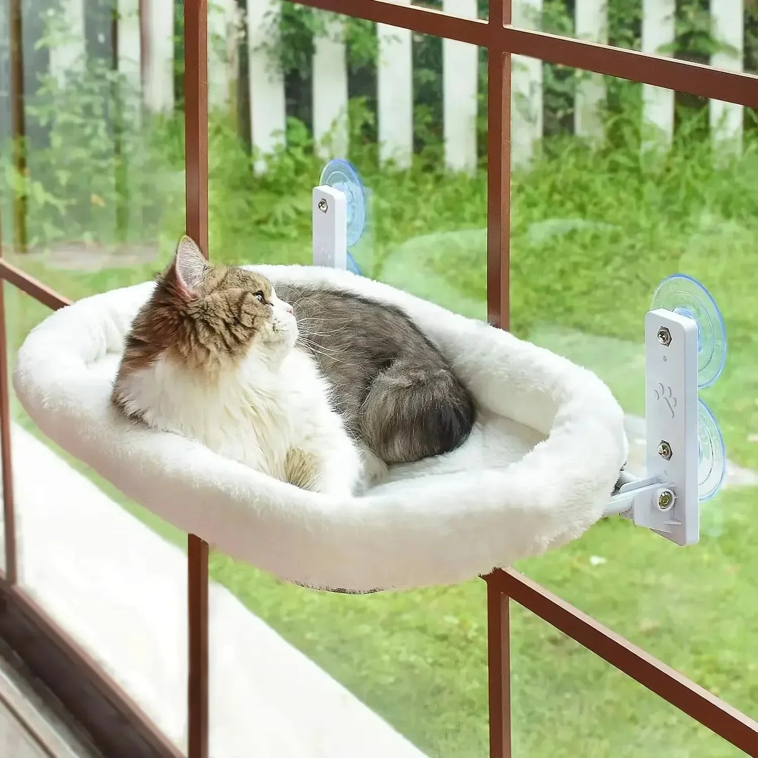 Winter Cat Hammock Window Habitat Cat Sunbathing
