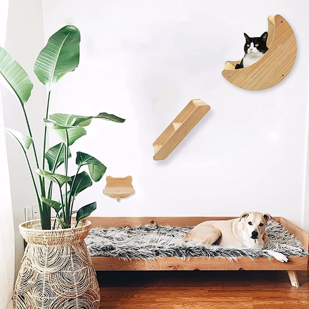 Cat Wall Climbing Shelves Moon Shelf