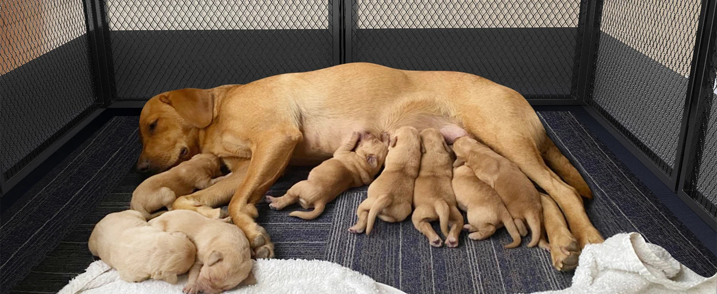 Heavy Duty Large Dog Playpen Pet Exercise