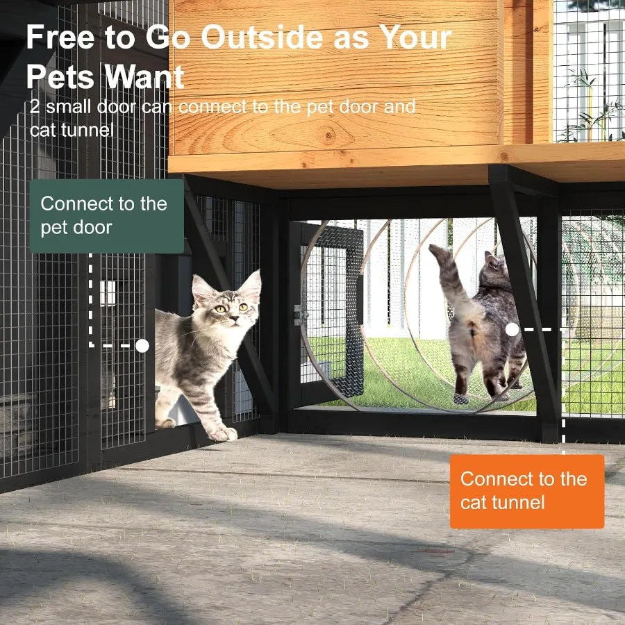 Large Outdoor Cat Enclosure for Multiple Cats