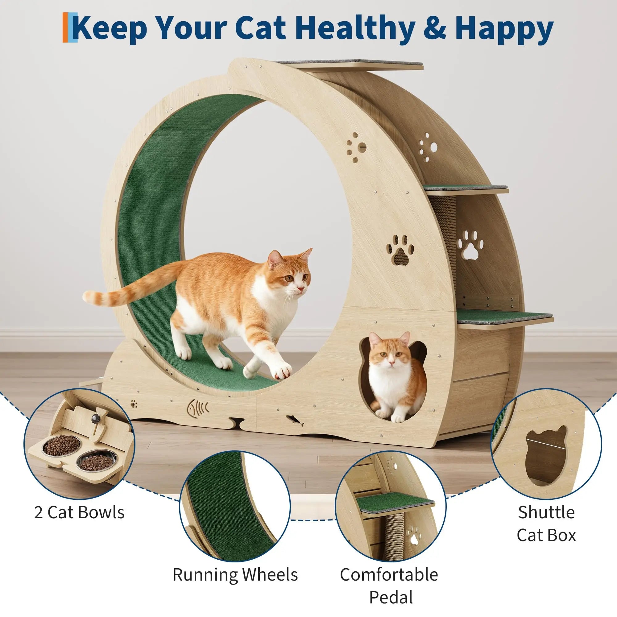 6-in-1 Multifunctional Cat Exercise Wheel