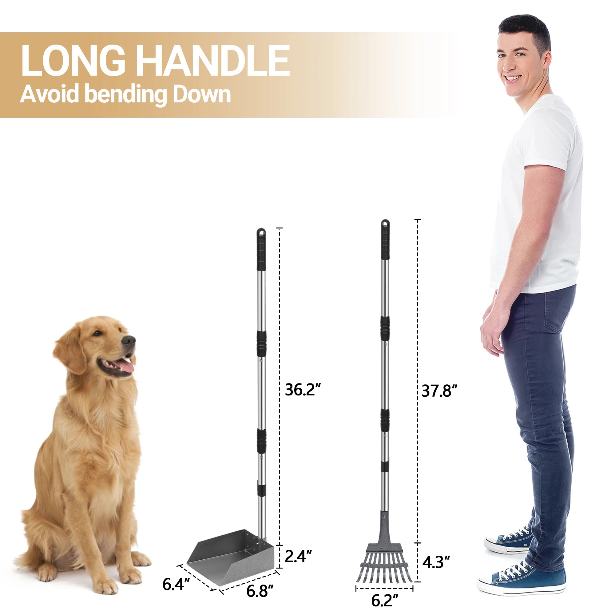 Dog Pooper Scooper Poop Tray and Rake