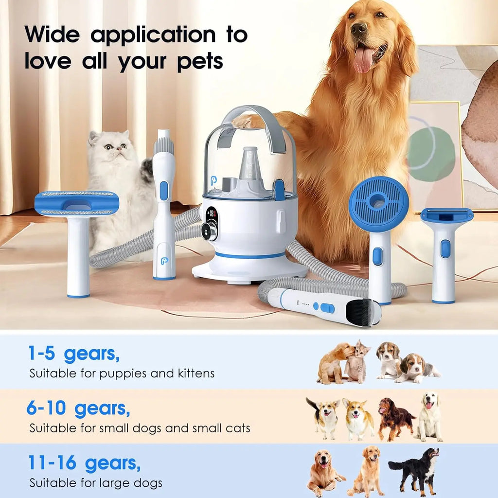 Dog Grooming Kit with 2L Vacuum Suction