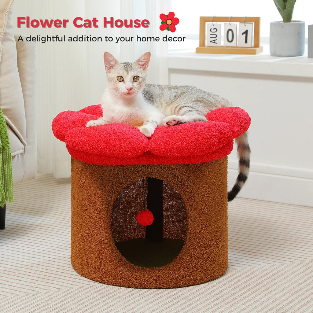 Cat Beds for Indoor Cats, Large Cats