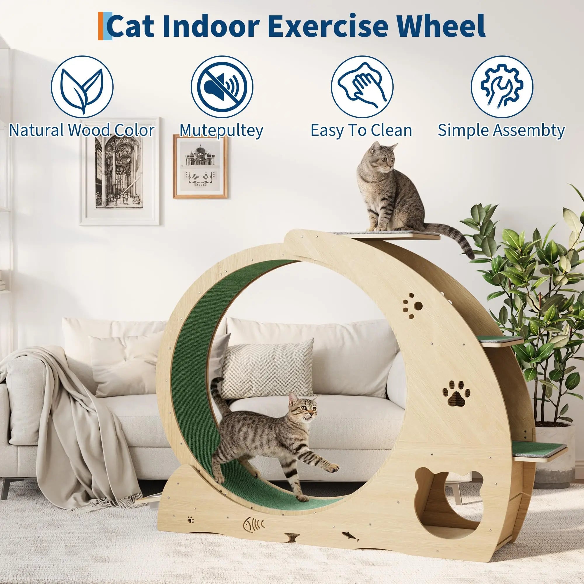 6-in-1 Multifunctional Cat Exercise Wheel