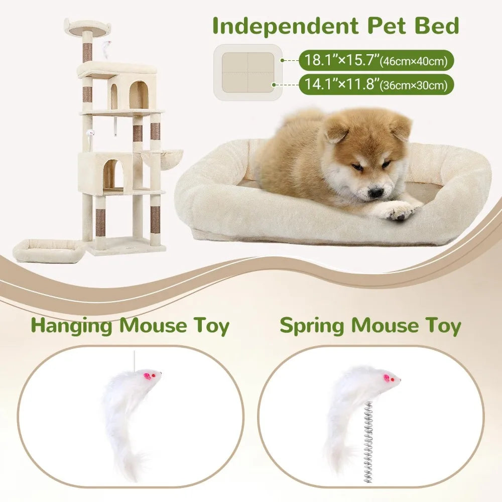 Heavy Duty Cat Trees for Large Cats