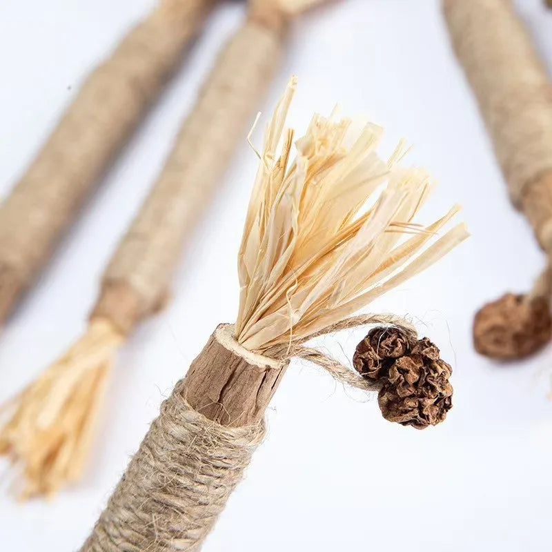 1/10 Silvervine Chew Sticks for Cats