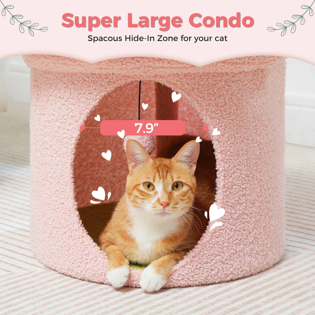 Cat Beds for Indoor Cats, Large Cats