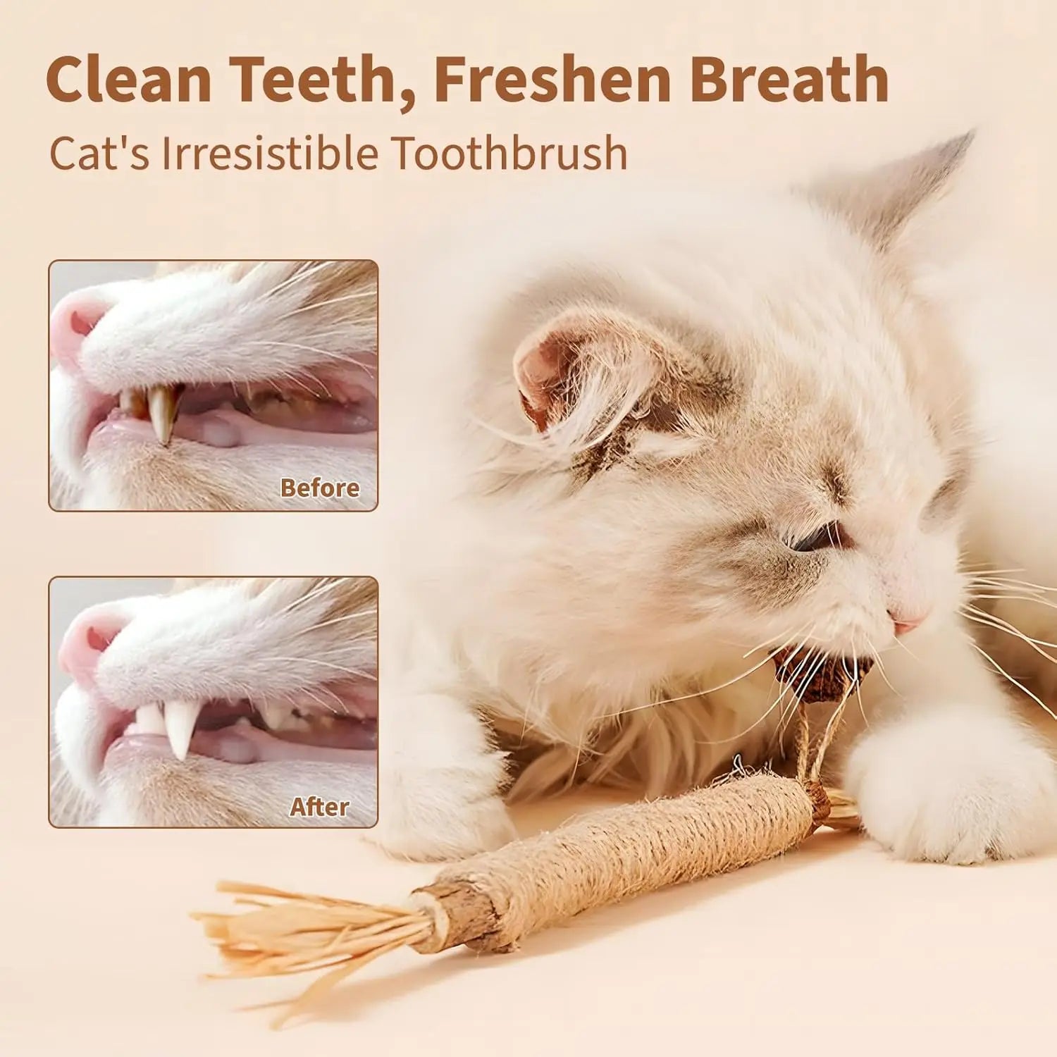 1/10 Silvervine Chew Sticks for Cats