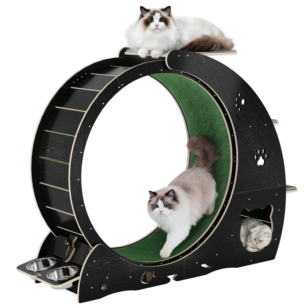 6-in-1 Multifunctional Cat Exercise Wheel