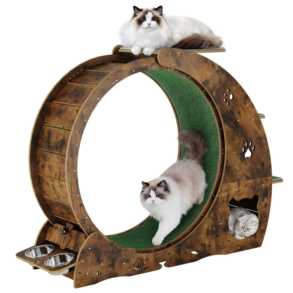 6-in-1 Multifunctional Cat Exercise Wheel