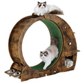 6-in-1 Multifunctional Cat Exercise Wheel
