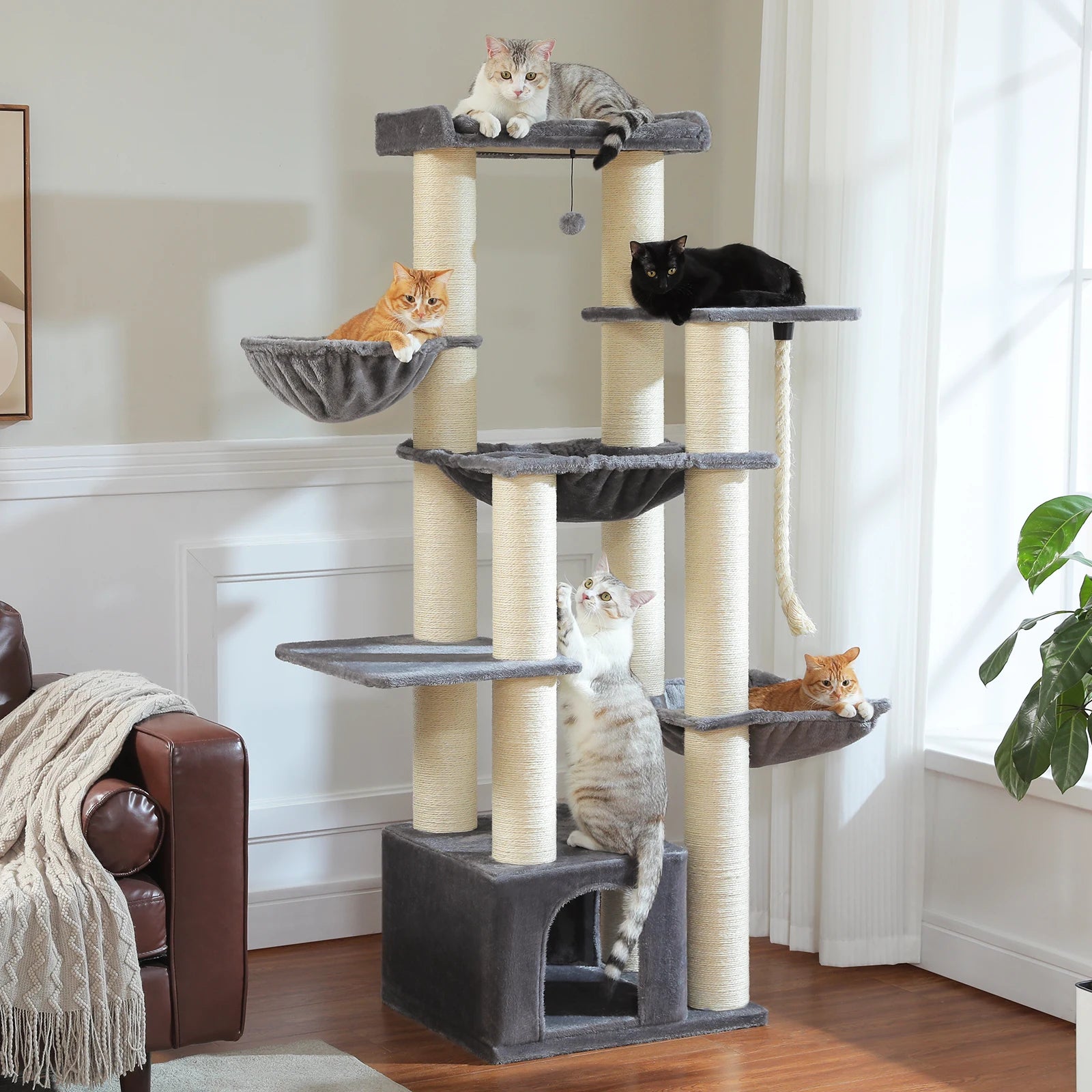 Large Cat Tree and Robust Cat Tower