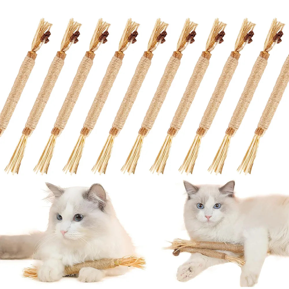 1/10 Silvervine Chew Sticks for Cats