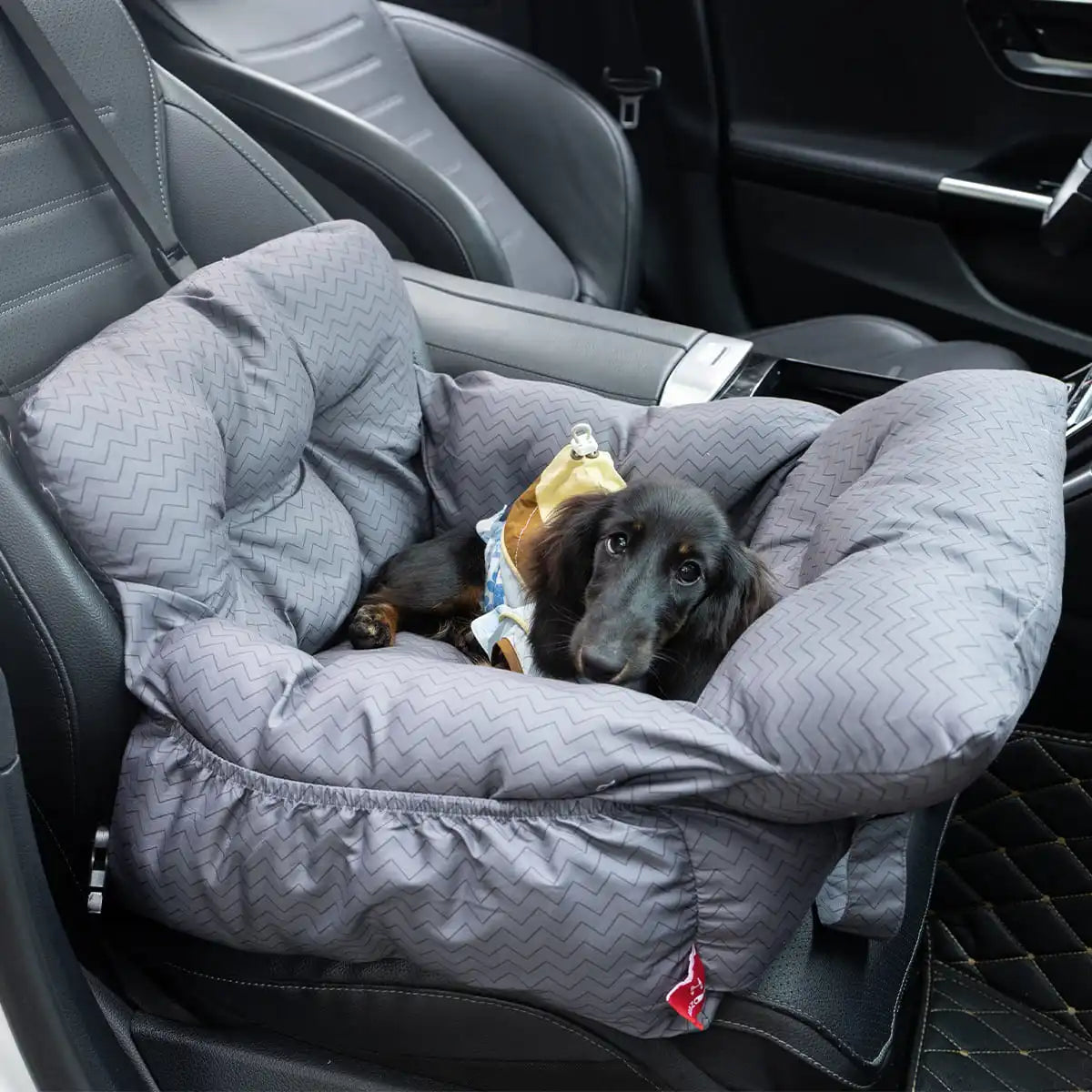 2-in-1 Dog Car Seat Carrier Bag
