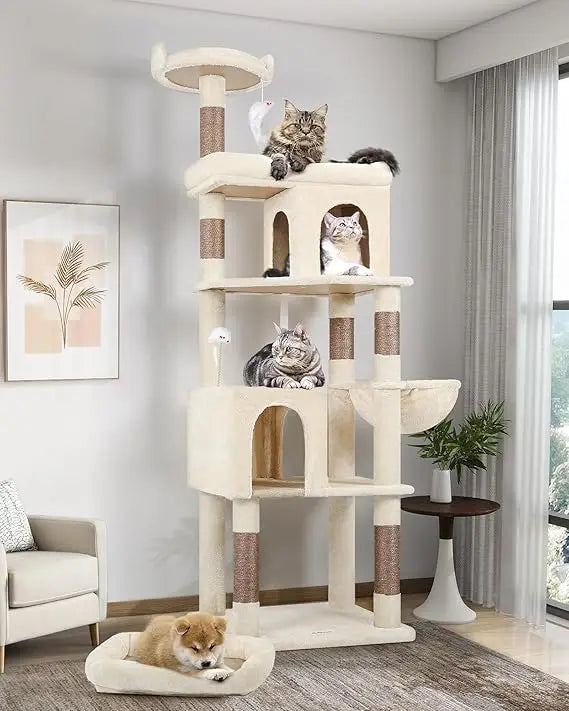 Heavy Duty Cat Trees for Large Cats