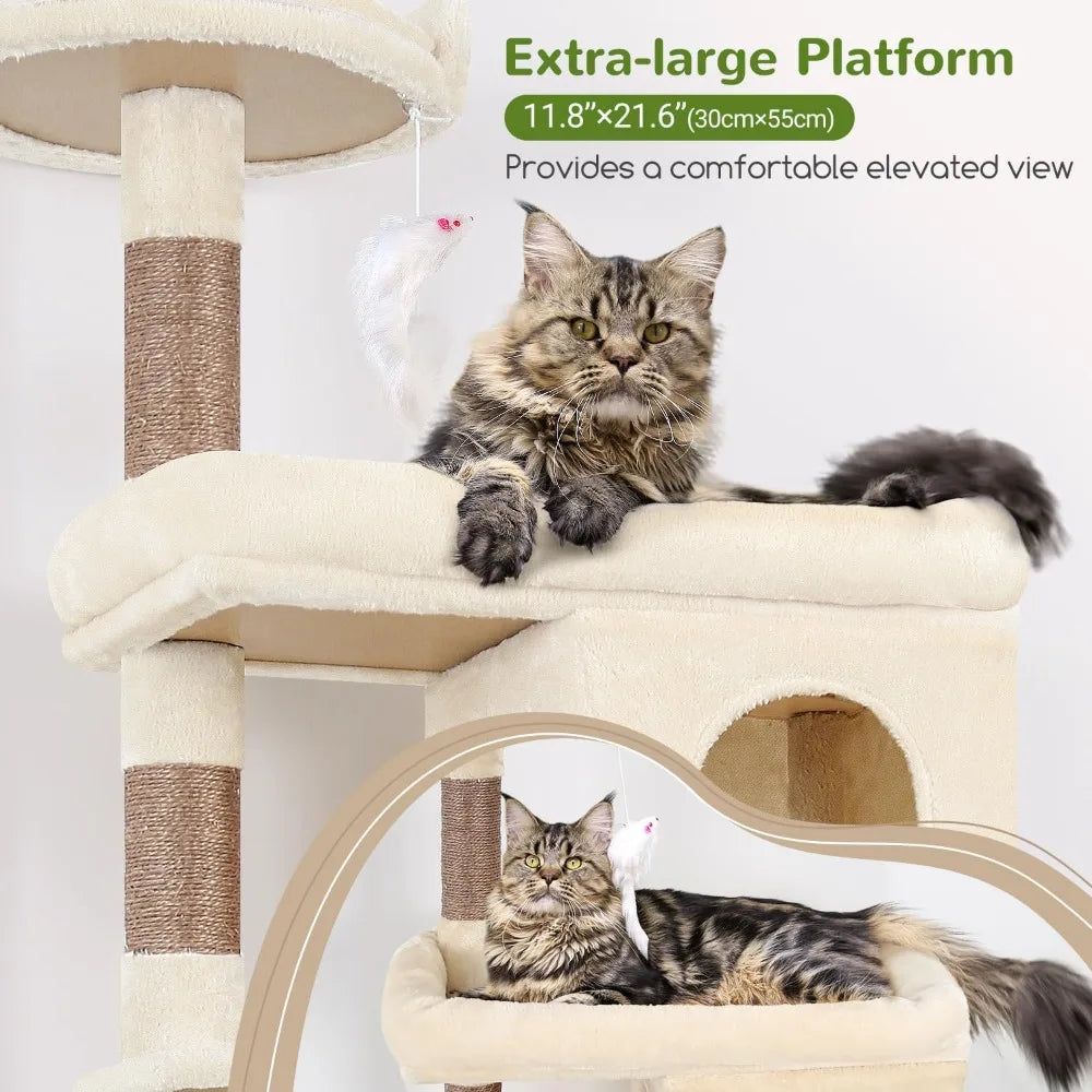 Heavy Duty Cat Trees for Large Cats